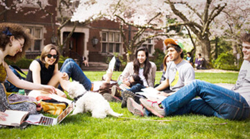 Lorem Ipsum is simply dummy text of the printing and typesetting industry.
